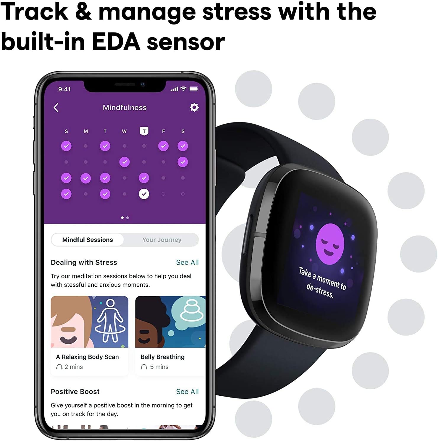Fitbit Sense Health & Fitness  - Heart Rate Gps Watch review and price